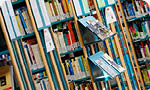 Enseignements, formations & projets transversaux